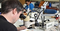Arbeit am Mikroskop